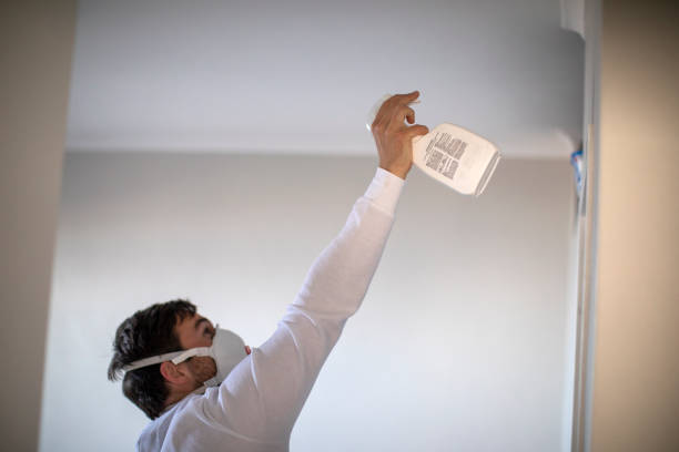 Best Industrial Mold Remediation in Brinckerhoff, NY
